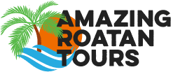 Amazing Roatan Tours – Roatan Tours & Excursions / Zip-line / Snorkeling / Beach / Little French Key